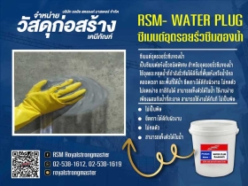 วอเตอร์ปลั๊ก x น้ำยาไพรเมอร์เจ