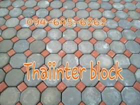 บล็อกตัวหนอน บล็อกแปดเหลี่ยม บล็อกปูหญ้า แผ่นทางเท้า