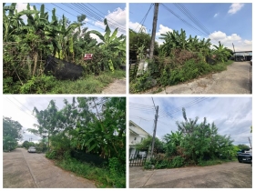 ขายที่ดินเปล่า 70ตรว คลอง11 หมู่บ้านนริศรา ซ.4 ถูกกว่าราคาประเมิน