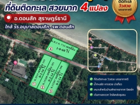 ขายด่วน ราคาถูกๆ ที่ดินติดทะเล สวยมาก 4 แปลง อ.ดอนสัก สุราษฎร์