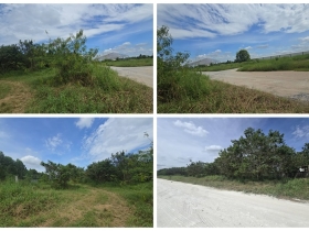 ขายที่ดิน บ้านบึง ชลบุรี 5 ไร่ 1 งาน 46 ตร.ว. ทำเลดี เหมาะลงทุน