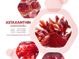 แอสตาแซนธิน, Astaxanthin, ราชาแห่งสารต้านอนุมูลอิสระ, King of ant