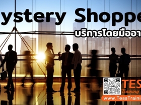 CONTACT.TESSTR@GMAIL.COM